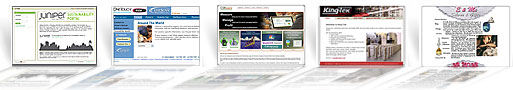 paulz webz sample sites